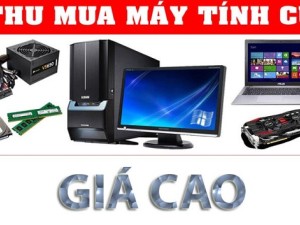 Chuyên mua máy tính cũ giá cao tại Hà Nội